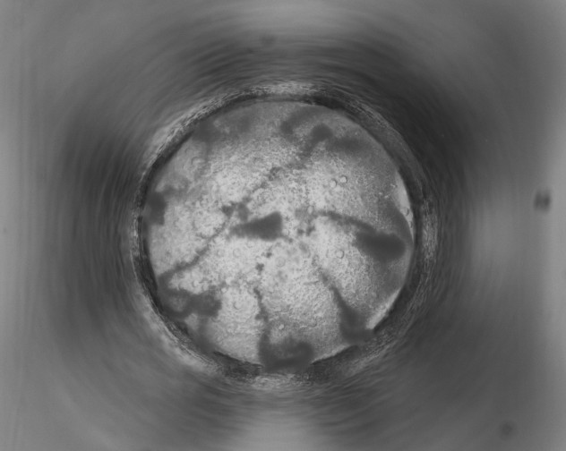 X0000114610725200912010936