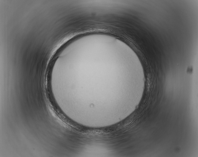 X0000114610726200912010936