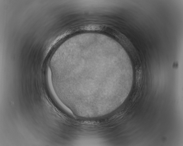 X0000114610727200912010936