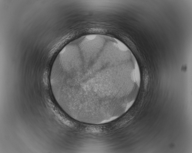 X0000114610729200912010936