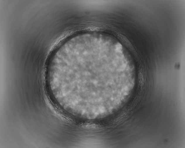 X0000114610730200912010936