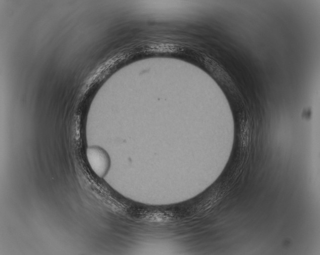 X0000114610731200912010936