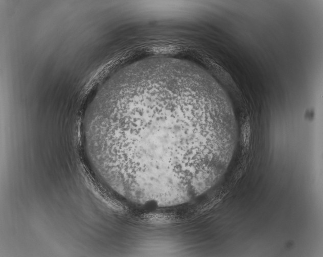 X0000114610733200912010936