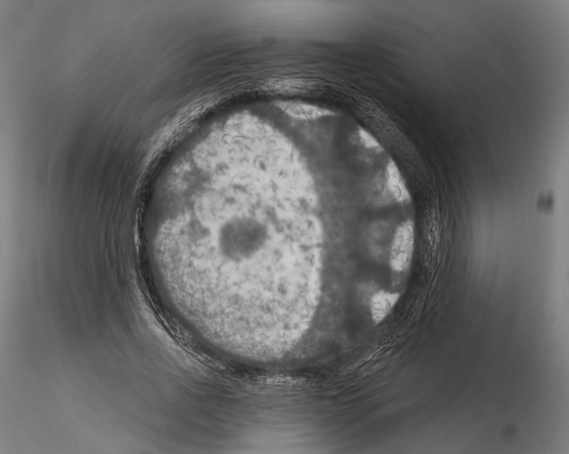 X0000114610734200912010936