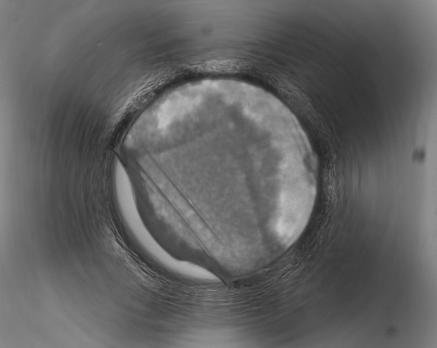 X0000114610735200912010936