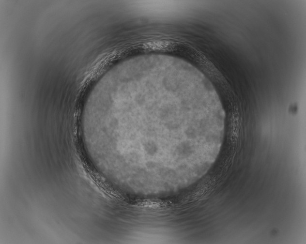 X0000114610738200912010936