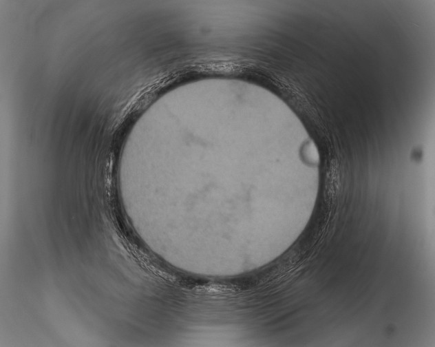 X0000114610739200912010936