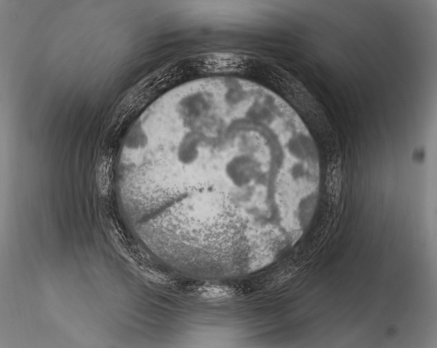 X0000114610741200912010937