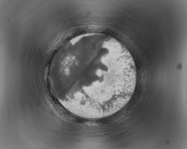 X0000114610742200912010937