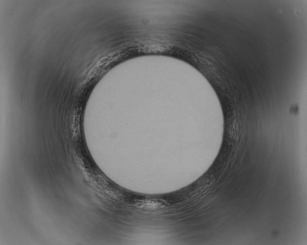 X0000114610743200912010937