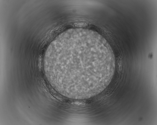 X0000114610745200912010937