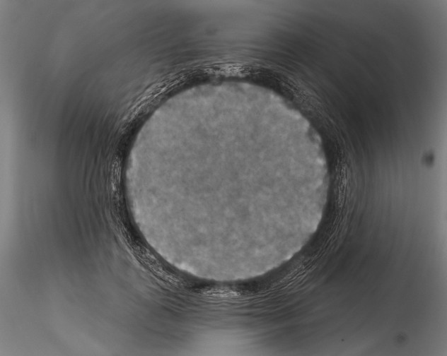 X0000114610747200912010937