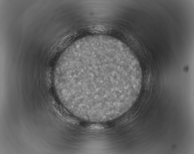 X0000114610749200912010937