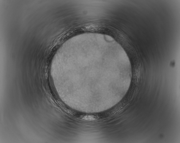 X0000114610751200912010937