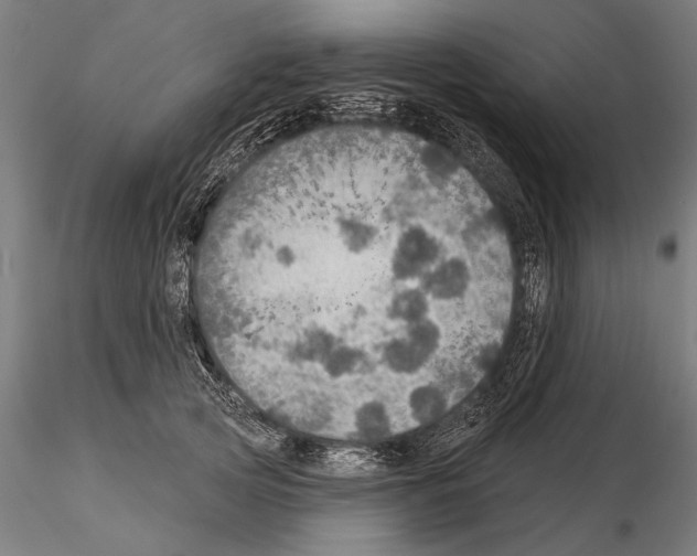 X0000114610753200912010937