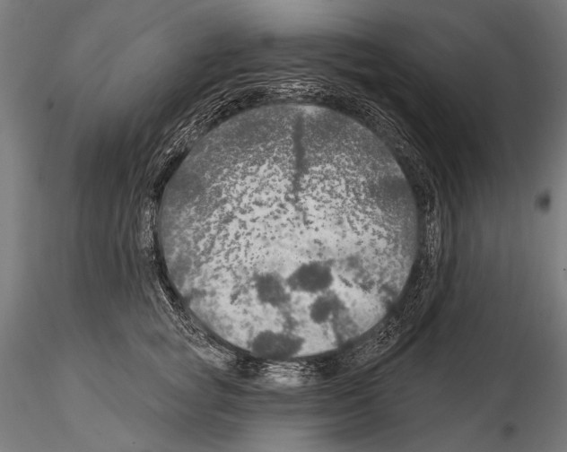 X0000114610757200912010937