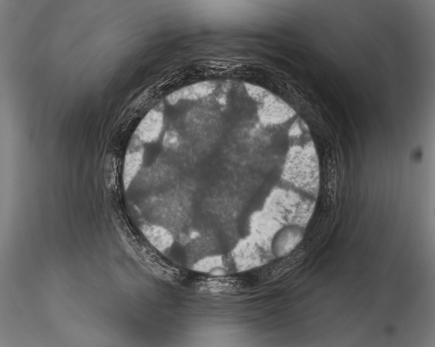 X0000114610758200912010937