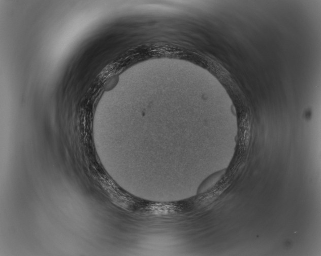 X0000114610762200912010937