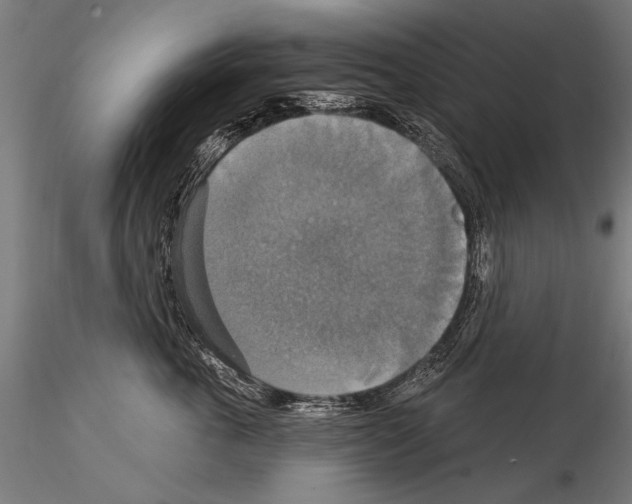 X0000114610763200912010937