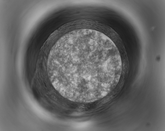 X0000114610765200912010937