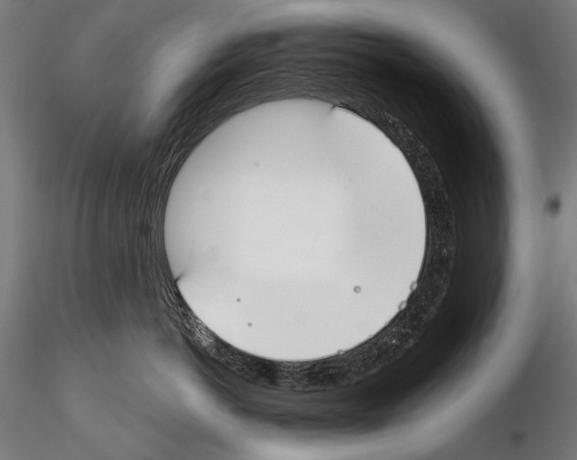 X0000114610766200912010937