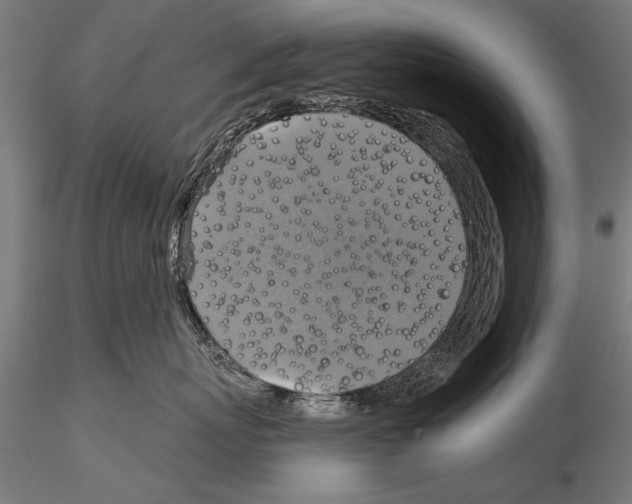 X0000114610767200912010937