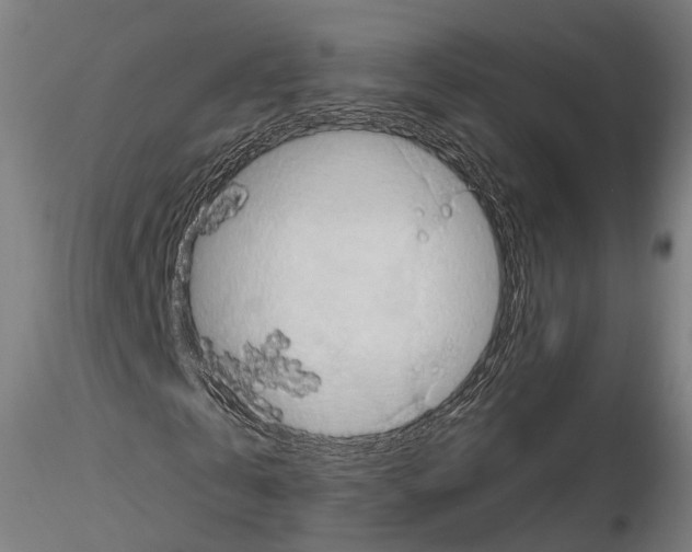 X0000114610769200912010936