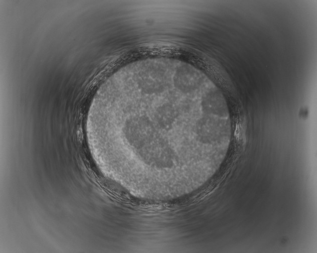 X0000114610771200912010936