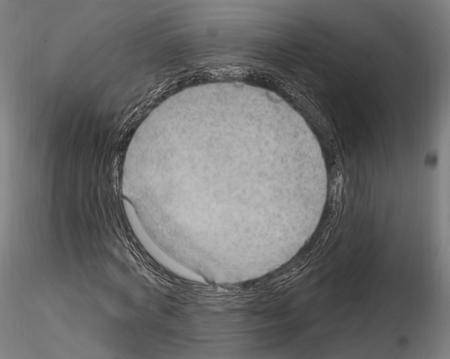 X0000114610772200912010936