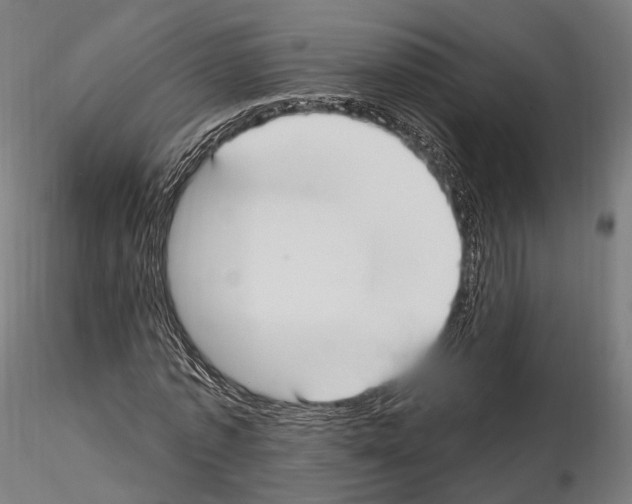 X0000114610773200912010936