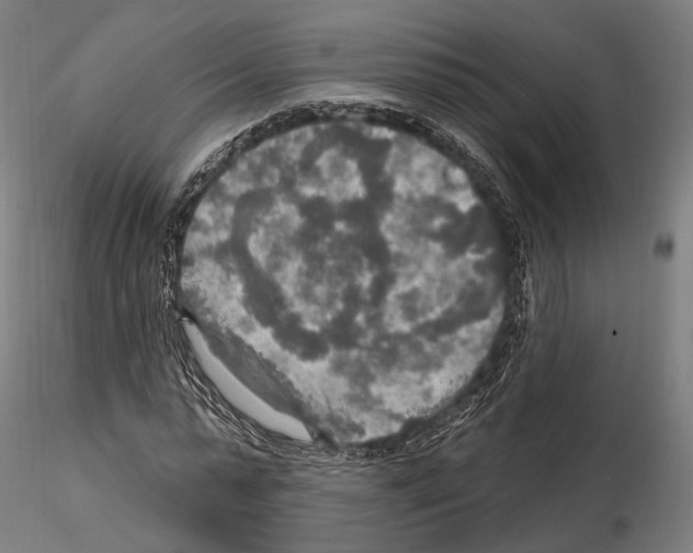 X0000114610775200912010936