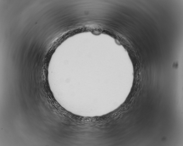 X0000114610776200912010936