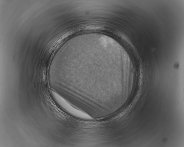 X0000114610777200912010936