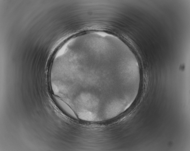 X0000114610779200912010936