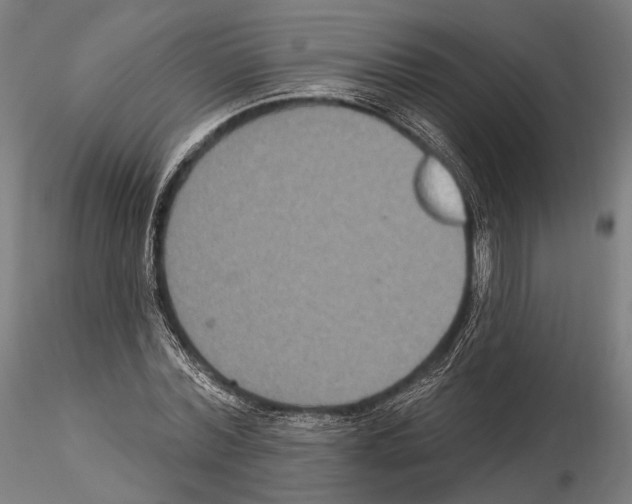 X0000114610780200912010936