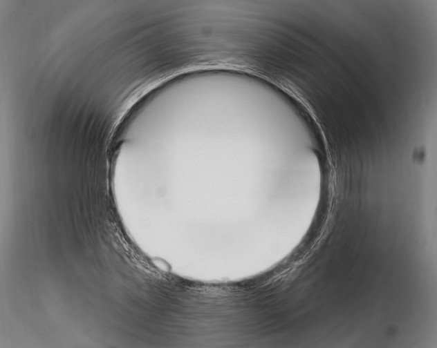 X0000114610781200912010936