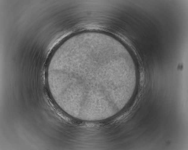 X0000114610782200912010936