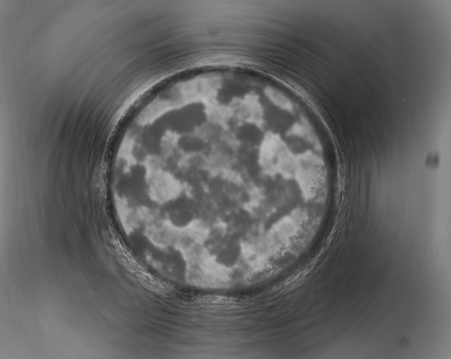 X0000114610783200912010936