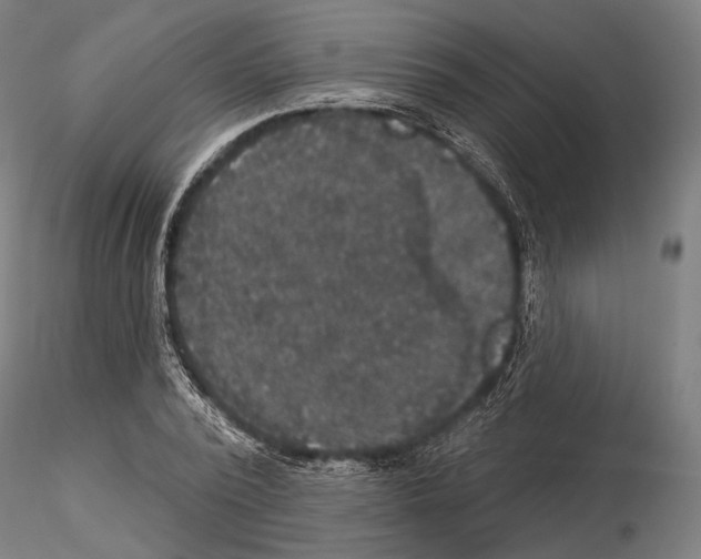 X0000114610784200912010936