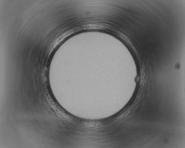 X0000114610786200912010936