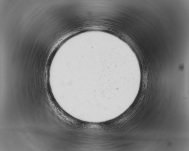 X0000114610787200912010936