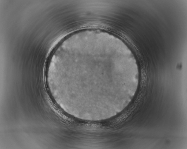 X0000114610788200912010936