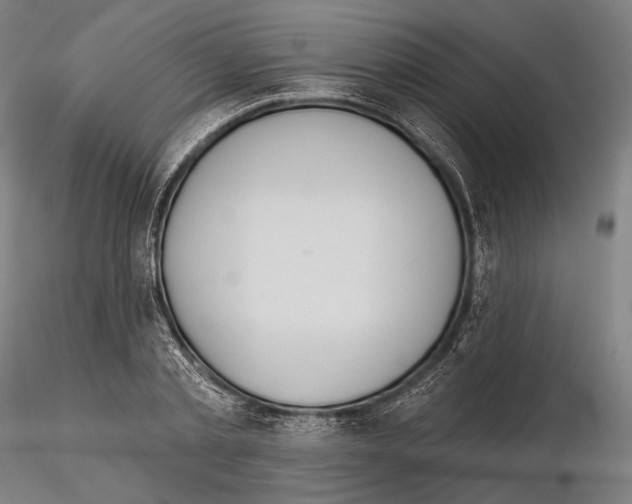 X0000114610789200912010936