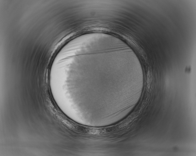 X0000114610790200912010936