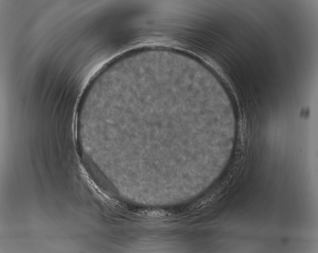 X0000114610791200912010936