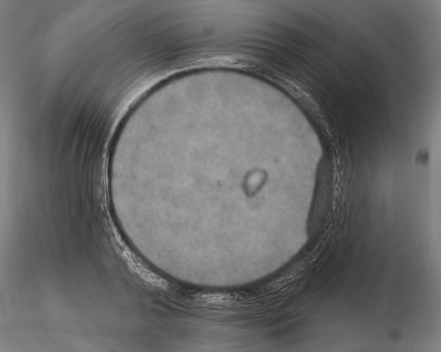 X0000114610792200912010936