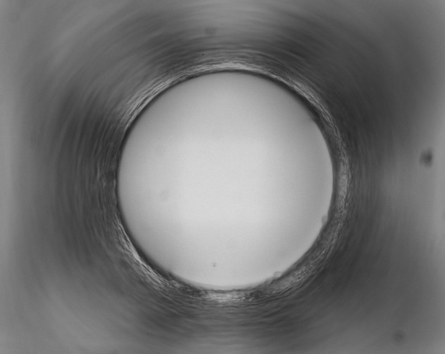 X0000114610793200912010936