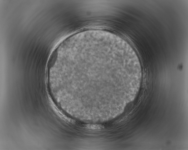 X0000114610795200912010936