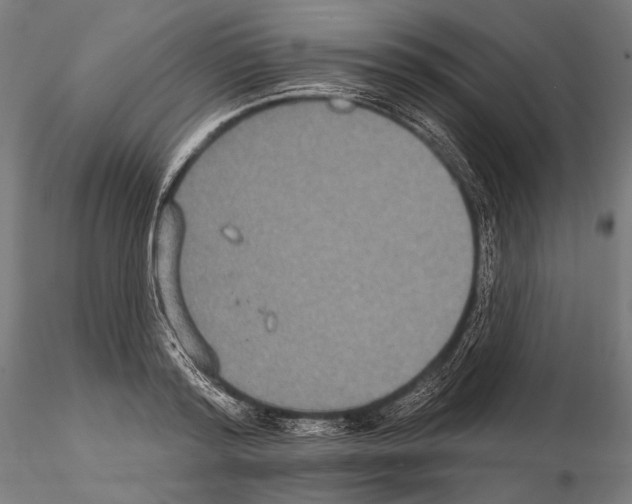 X0000114610796200912010936