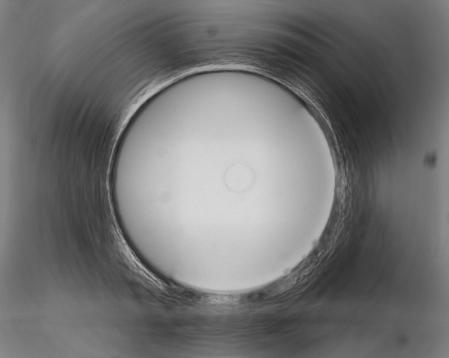 X0000114610797200912010936